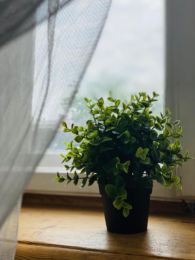 Cosy Apartment ريغا المظهر الخارجي الصورة