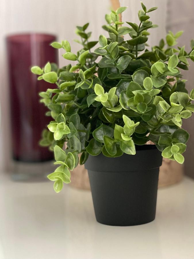 Cosy Apartment ريغا المظهر الخارجي الصورة