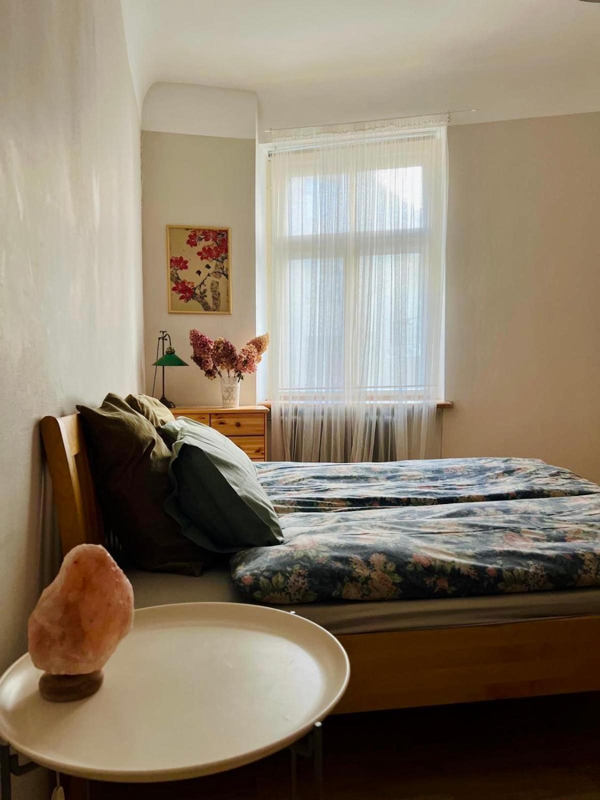 Cosy Apartment ريغا المظهر الخارجي الصورة