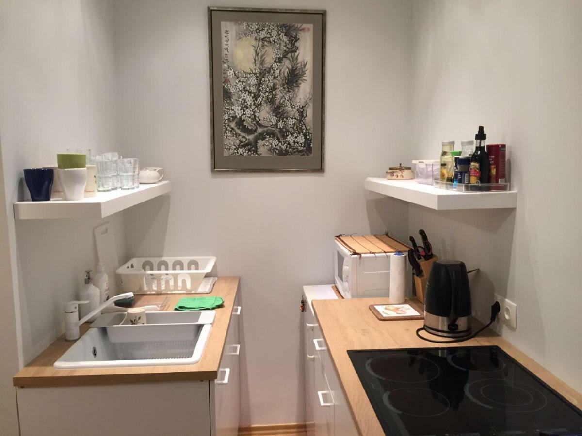Cosy Apartment ريغا المظهر الخارجي الصورة